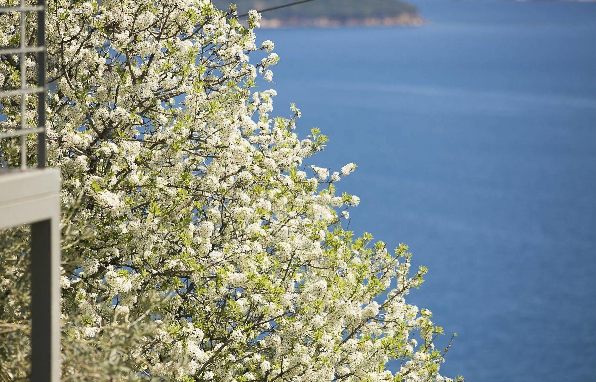 Fiorella Sea View Megali Ammos  Bagian luar foto
